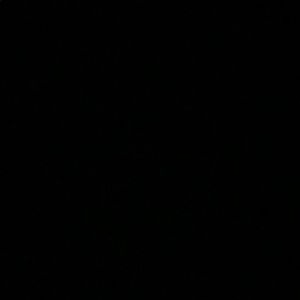 Meet your Posher, Diona